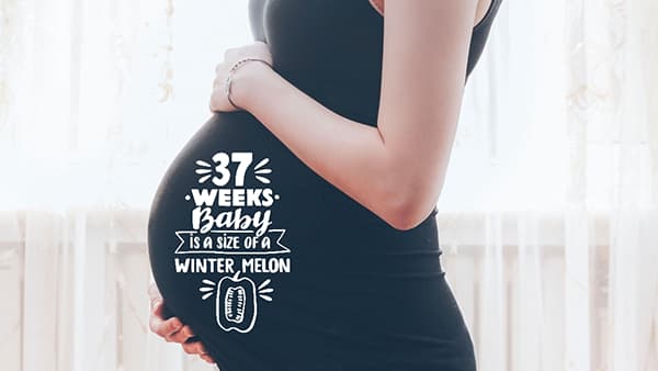 Glöm inte bort att dokumentera din graviditet med bumpies!